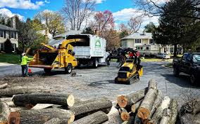 Best Hazardous Tree Removal  in Tilton Northfield, NH