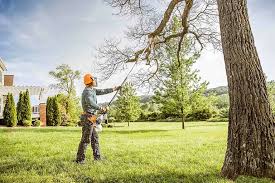 Best Tree Risk Assessment  in Tilton Northfield, NH